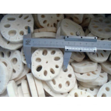 IQF frozen lotus root